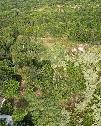 WhatsApp Image 2023-10-20 at 10.49.37.jpeg