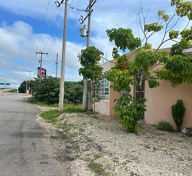 WhatsApp Image 2025-09-20 at 11.02.43 AM.jpeg