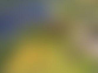 A New Model for Free-to-Play 4X Strategy on Mobile