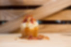 Maple Bacon Delight