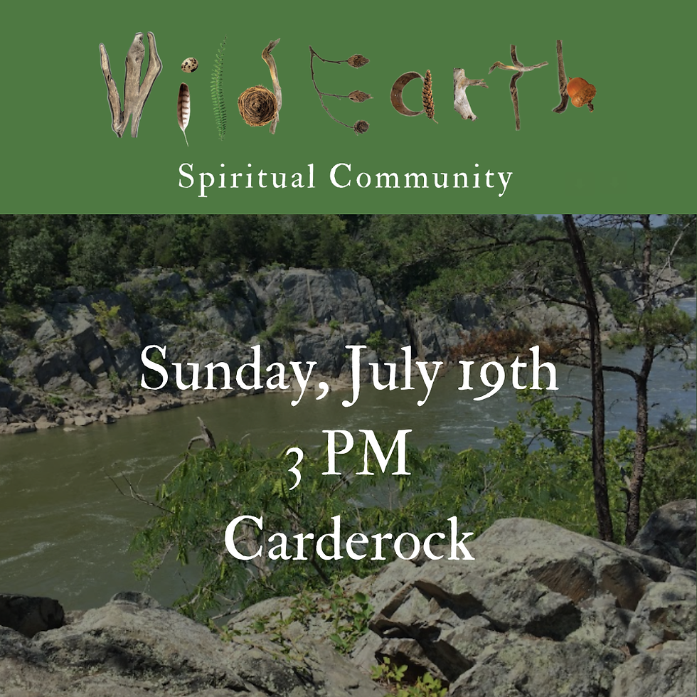 Wild Earth Gathering, 3 PM