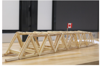Popsicle-Stick Bridge Load Challenge