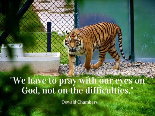 We Have To Pray With Our Eyes On God…