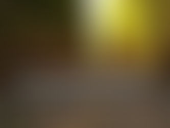 Failures, Repeated Failures, Are Finger Posts On The Road To Achievement.