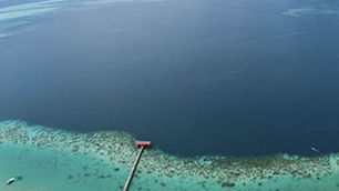 27 Days Star Collector | In-Depth Expeditions Of Indonesia, The Philippines & The Great Barrier Reef