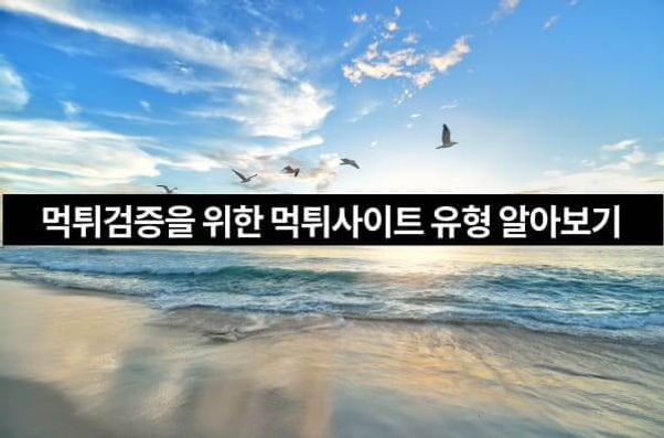 토토일주,토토사이트,메이저사이트,사설토토,먹튀검증,먹튀검증사이트,먹튀검증