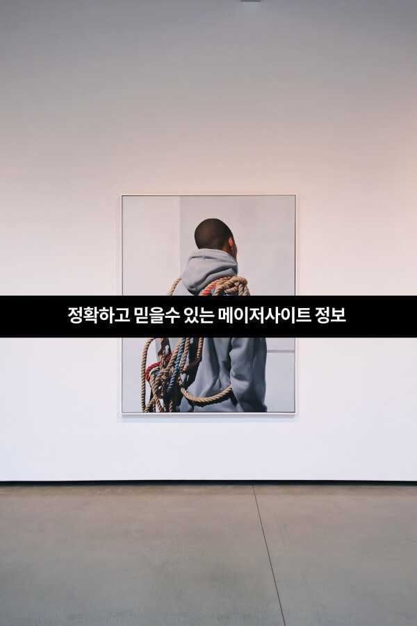 토토박물관,토토사이트,메이저사이트,사설토토,먹튀검증,먹튀검증사이트,정확하고믿을수있는메이저사이트정보.jpg