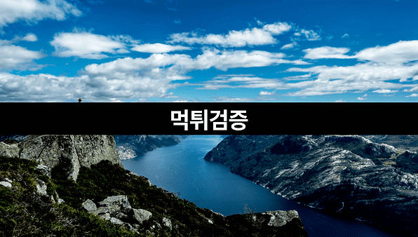 토토일주,토토사이트,메이저사이트,사설토토,먹튀검증,먹튀검증사이트,먹튀검증