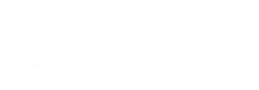 Logo Neves Branco.png