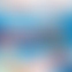 Donut NV Feb. 17, 2026