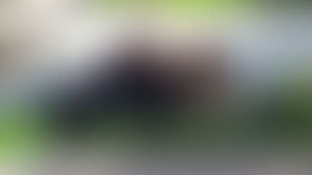 Greenspun JHS Newsletter 04-25-2025