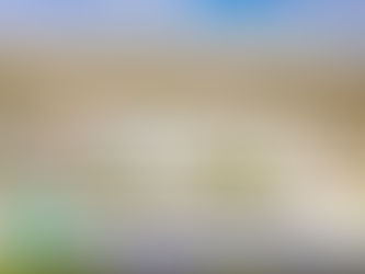 CCSD Districtwide Survey