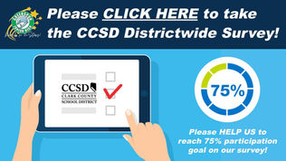 Annual CCSD Survey 2025