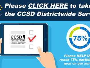 Annual CCSD Survey