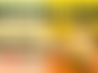 GJHS Spelling Bee Thursday Aug. 24