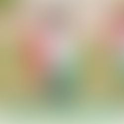 Greenspun JHS Newsletter 05-12-2023