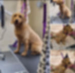 Screenshot_20250203_114510_Facebook