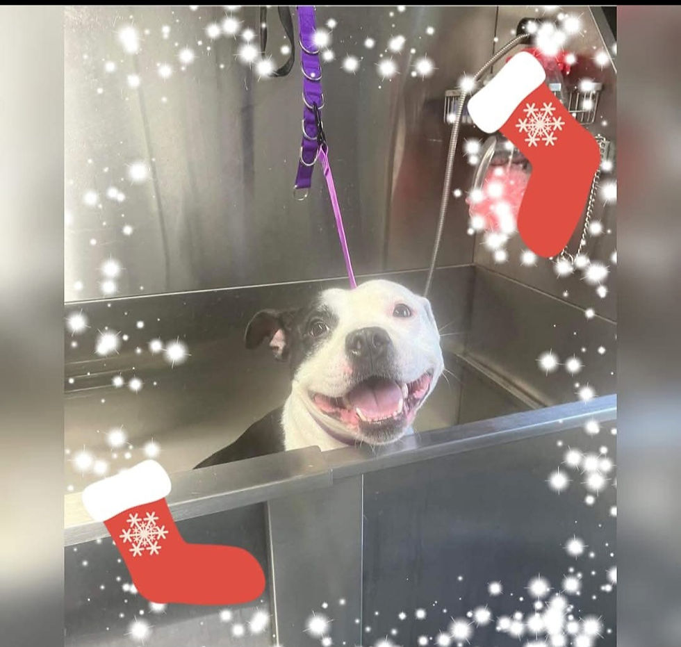 Screenshot_20250203_114416_Facebook