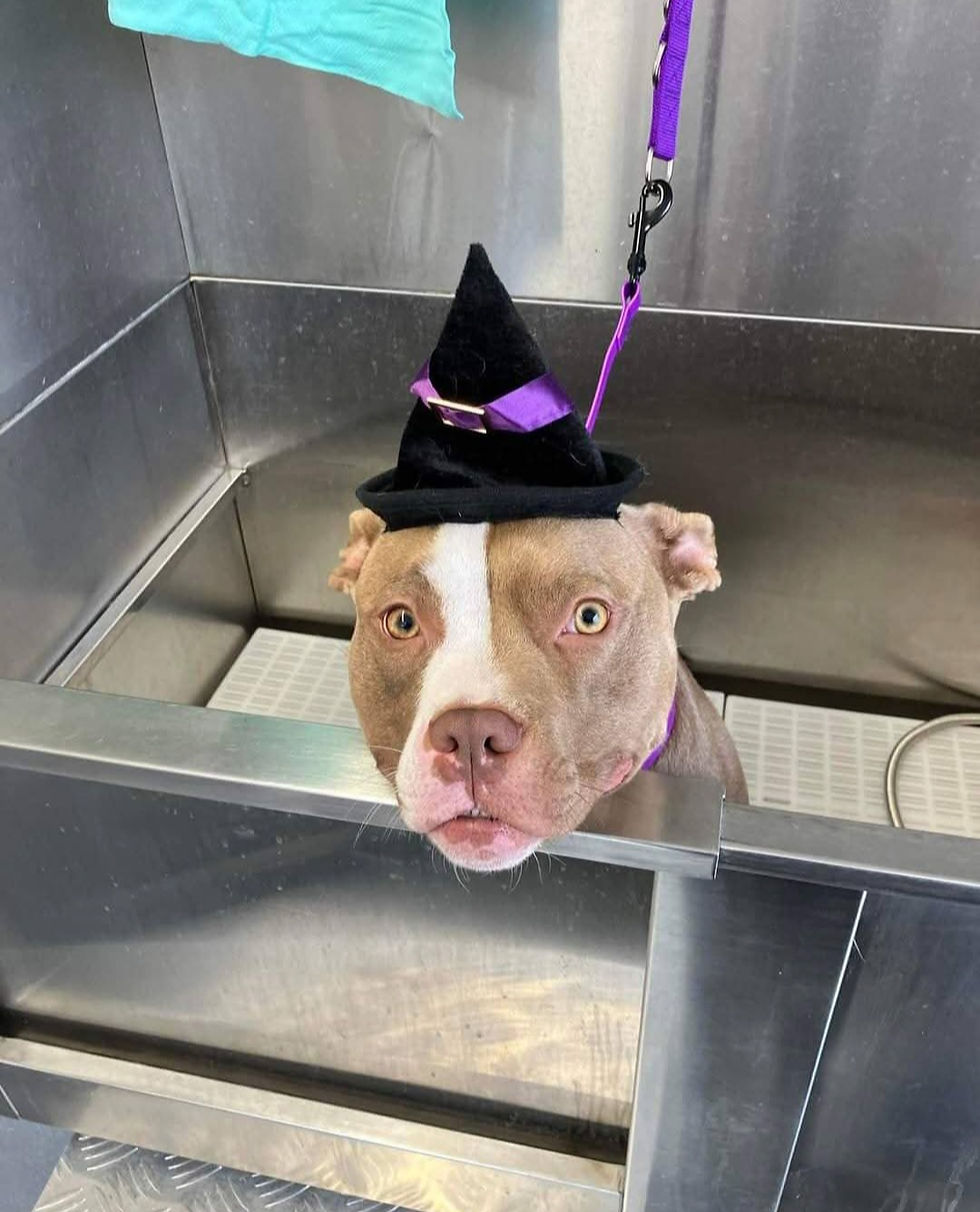 Screenshot_20250203_114310_Facebook