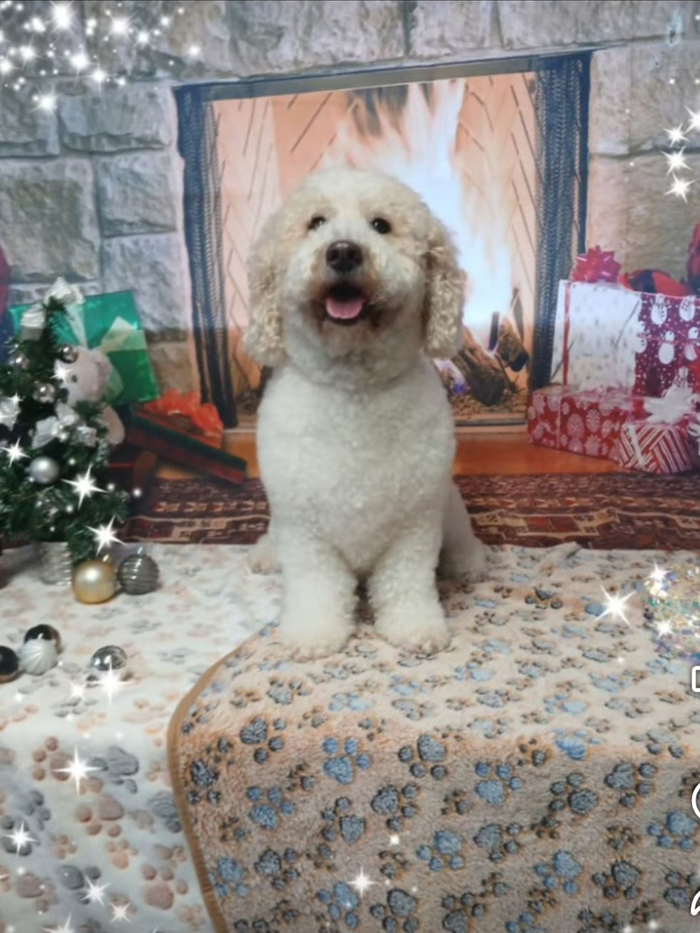 Screenshot_20250203_114335_Facebook