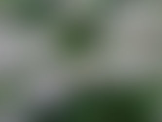 【香物の甲立/冨士袴編】
