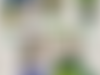 Holiday Gift Guide 2025: The Best Gifts for Plant Lovers