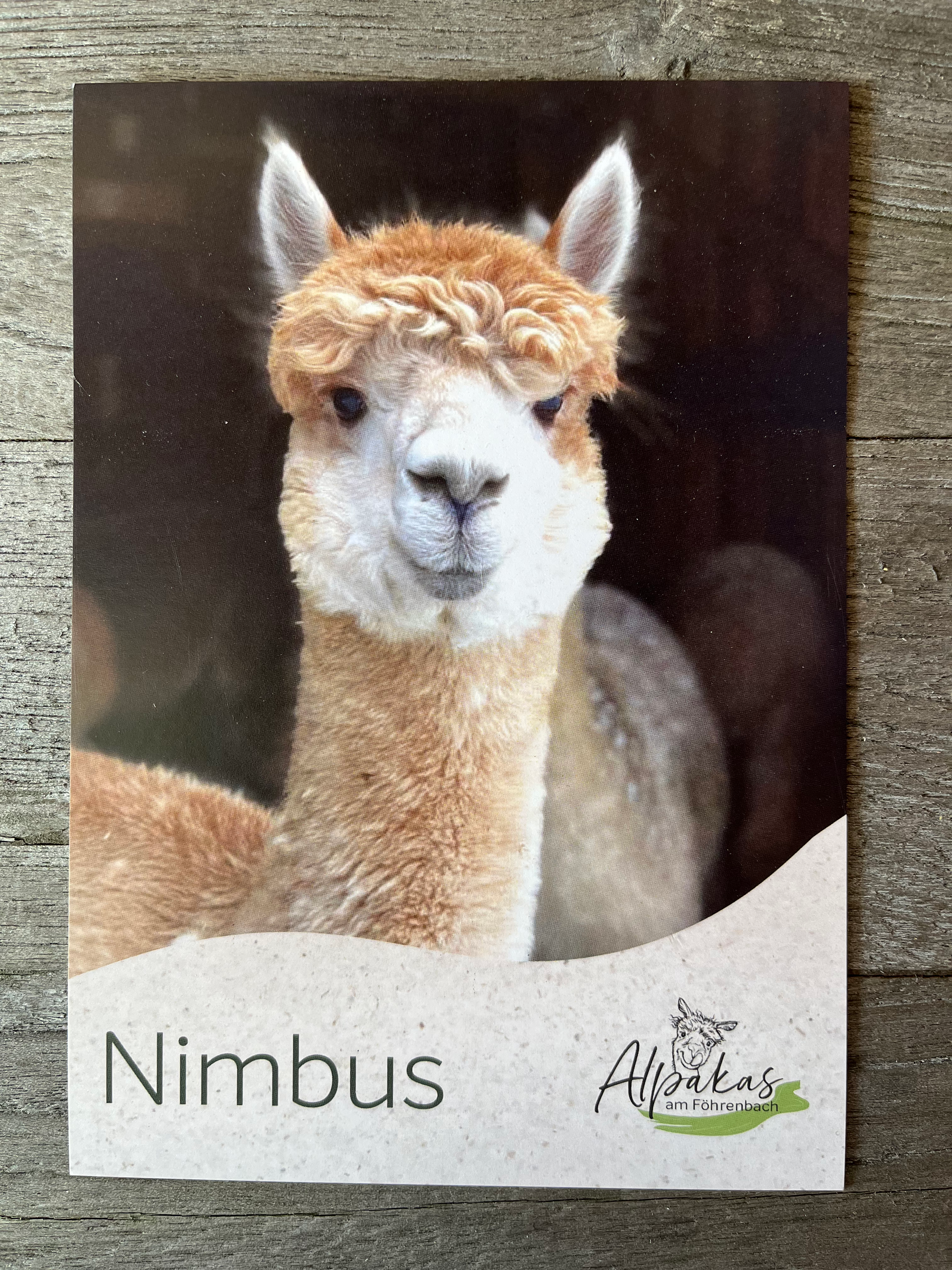 Postkarte Nimbus