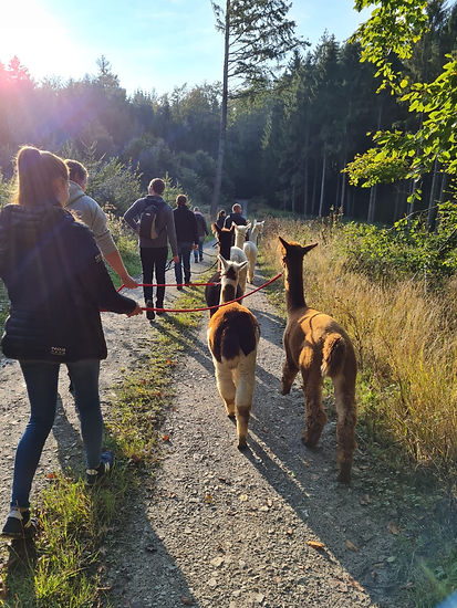 Wanderung.jpeg