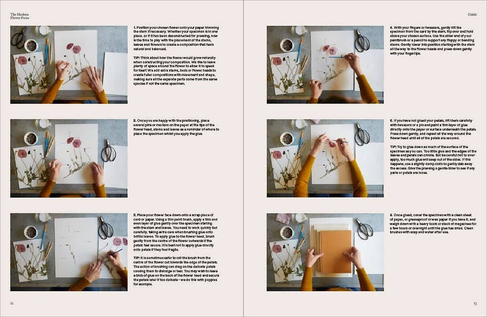 Thumbnail: The Modern Flower Press