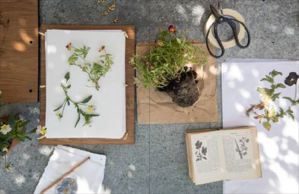 Thumbnail: The Modern Flower Press