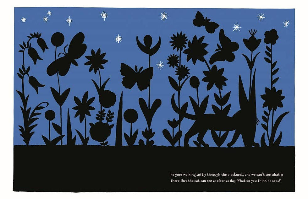 Thumbnail: The Cat at Night: Hardcover