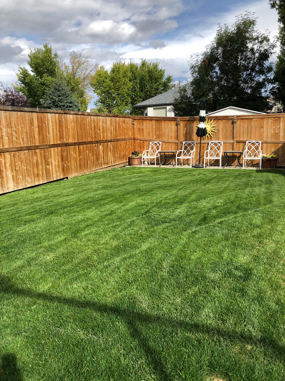 Lawn Care Calgary TheGreenEffect