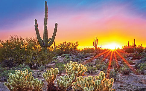 Sonoran-Desert-sunset_PC-Matt-Seuss.jpeg