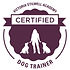 VSA certified dog trainer
