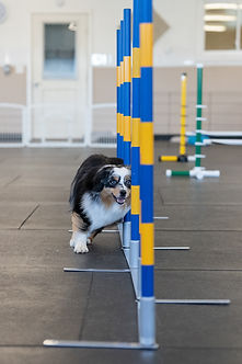 agility weaves