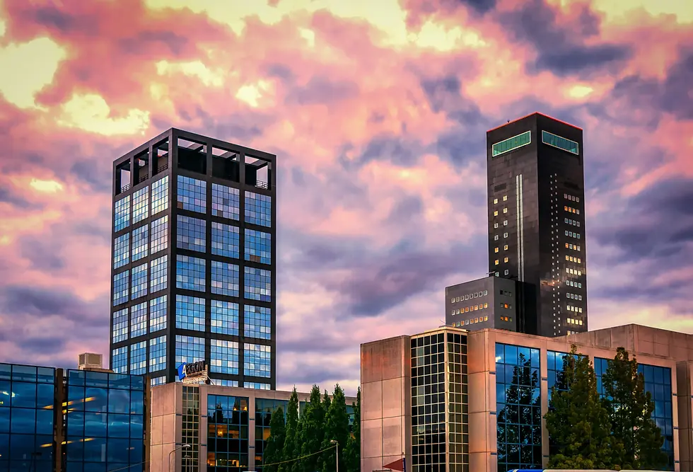Panoramisch uitzicht op Leeuwarden met bekende stadsplekken