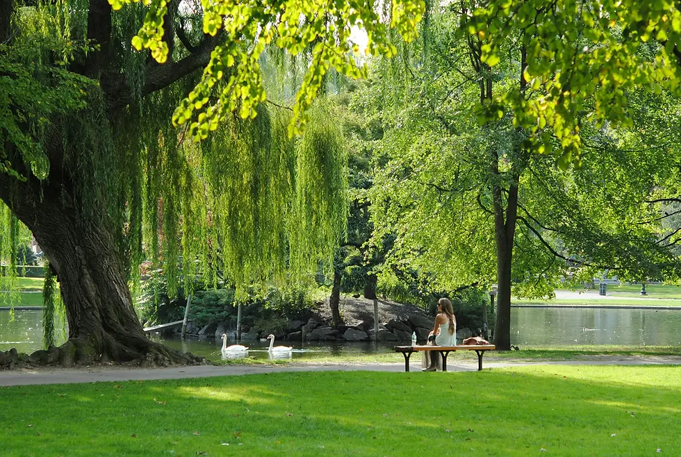 Vue panoramique de Pessac avec Meet5 pour rencontrer de nouvelles personnes