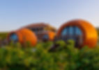 Hotel Qvevrebi Telavi, Kakheti wine region, Georgia