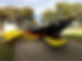 Thumbnail: 18" Custom Made Display Pitts