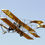 Thumbnail: Curtiss Pusher EP 50" ARF