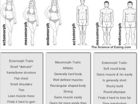 What Is Your Body Type?