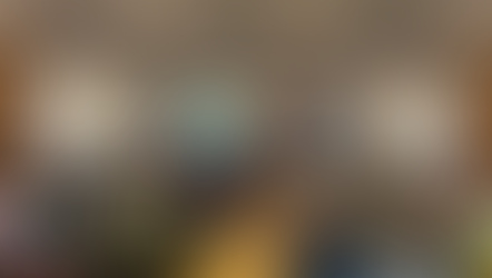 Projekt Bischofsmühle: Großes Interesse beim ersten Infotreffen