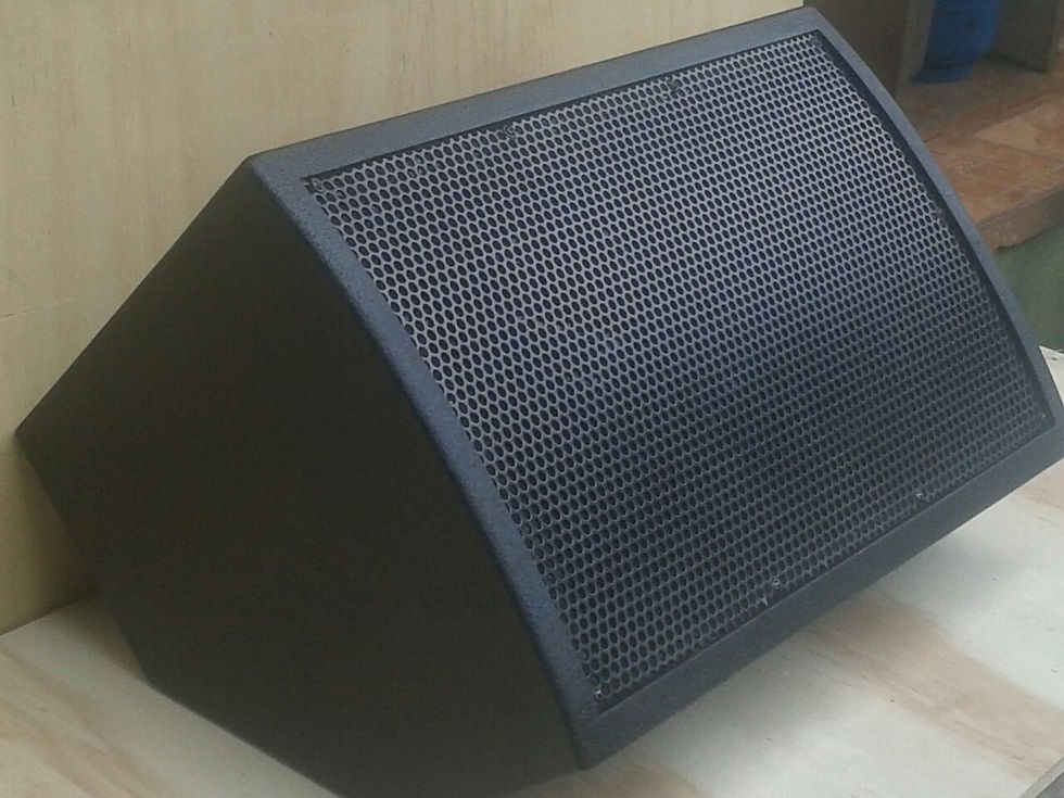 Monitor MG12 (1x12 + 1xti)