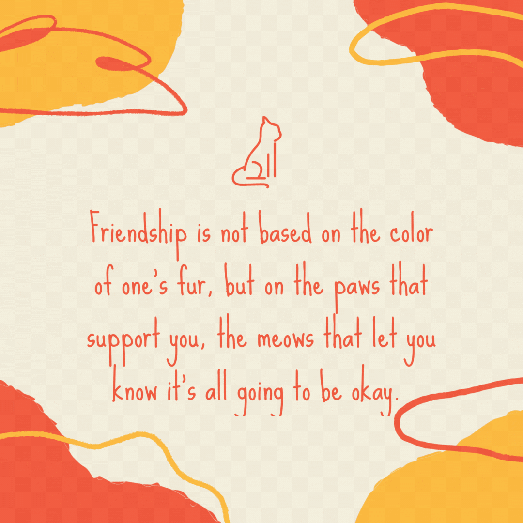 Friendship is not based on the color of