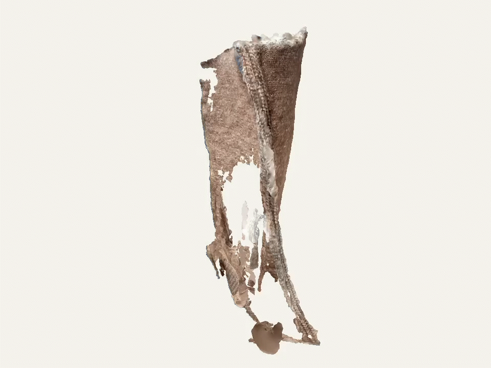 polycam.gif