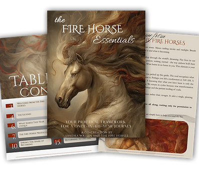 ESSENTIAL GUIDE - SALE PAGE_edited.png