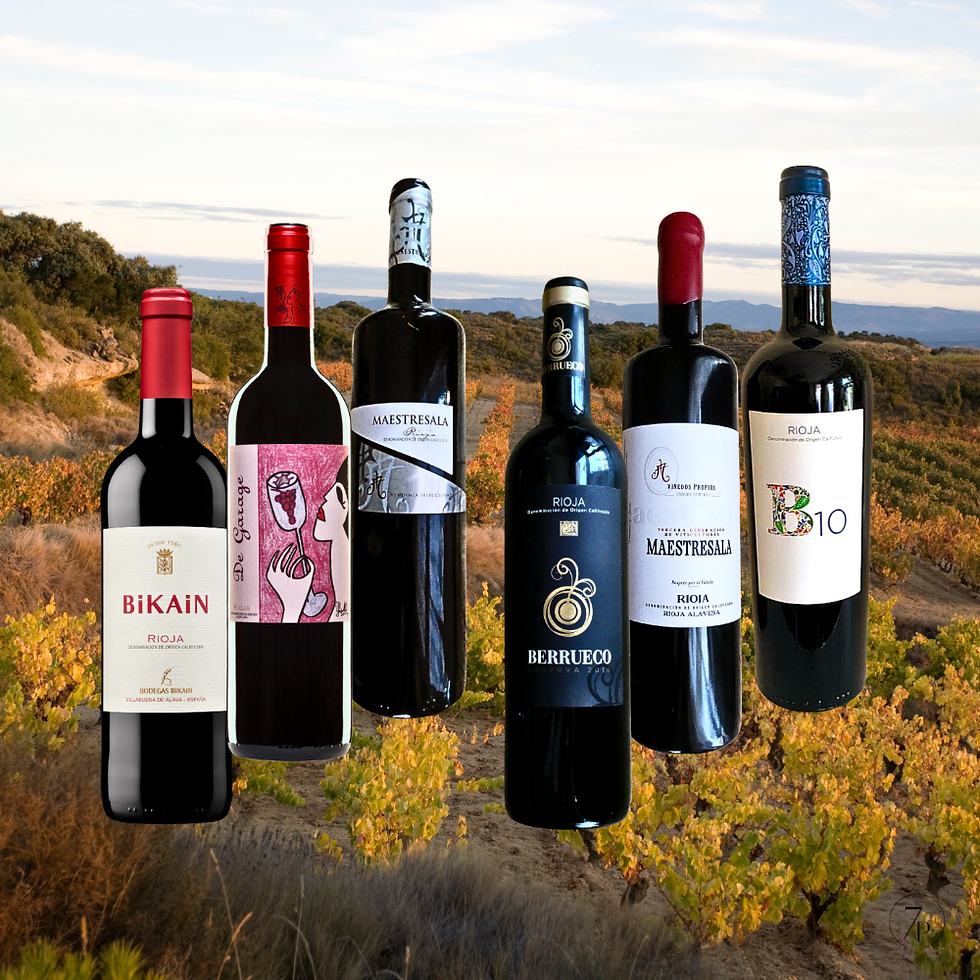 RIOJA ALAVESA EXPERIENCE PACK - 7P WINES