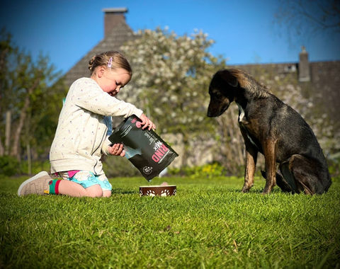 Kind füttert Hund im Garten
