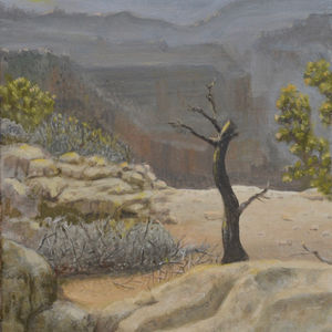 Sentinel of the Canyon Edge
