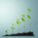 ColorClef - Best Marketing Agency